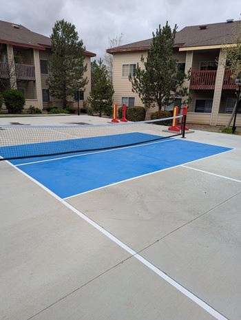 A blue and white tennis court with orange cones around it.